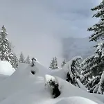 Im Bergruh - Reuti Daire *