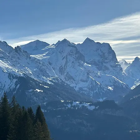 Im Bergruh - Reuti Appartement *