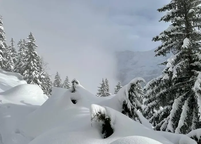 Im Bergruh - Reuti Apartment *