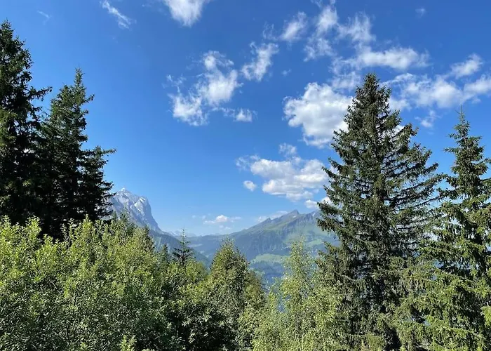 Im Bergruh - Reuti Appartement